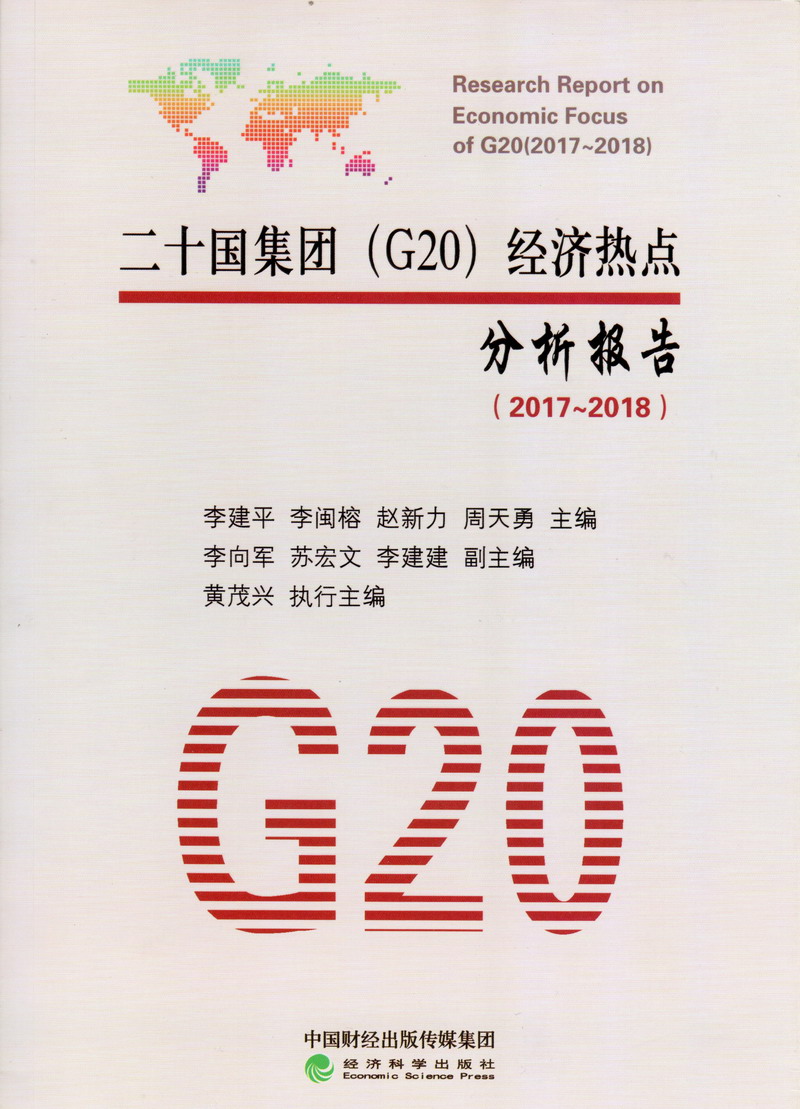 插穴XX多人XX视频二十国集团（G20）经济热点分析报告（2017-2018）